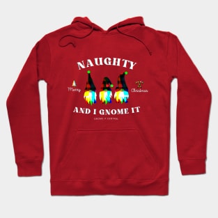 "naughty and I gnome it" christmas t-shirt Hoodie